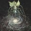 Cephalopodic Void - Single