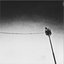 Tightrope