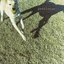 Paddleton - Single