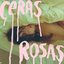 Ceras rosas - Single