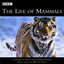 The Life of Mammals