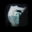 Avatar for rdowidait