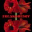 Freakquency - Single
