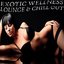 Exotic Wellness Lounge and Chill Out (Relaxing Selection of Erotic Lounge Grooves)