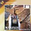 Série Três Séculos De Música Brasileira – Vol. 2 – Maxixes