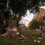 Postcards from a Churchyard