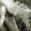 Unknotted