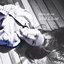 Shine On Me