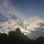 Sorrowful Summer