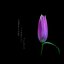 Sapphire Within