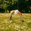 Wenn das Liebe ist - Single