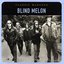 Blind Melon: Classic Masters