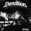 Demolition - Single