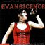 Maximum Evanecense: The Unauthorised Biography of Evanescence