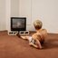 I'm A TV