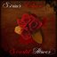 Scarlet Flower