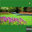 Over Soon(Better Days)
