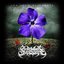 The Fear We Create [Explicit]