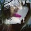 Lullabies In a Glass Wilderness