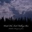 Until The Last Falling Star