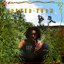 Legalize It