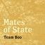 Mates of State - Team Boo album artwork