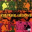 Culture Groove: Musical Images, Vol. 32