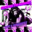 KICKS OUT FOR HARAMBE (10 YEAR MEMORIAL RIP SWEET PRINCE)