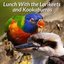 Lunch with the Lorikeets and Kookaburras