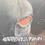 Carpenter Pants - Single