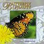 Butterfly Beauty