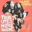 Tribute to The Mother of Groove