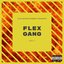 Flex Gang, Vol. 1 [Explicit]