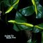 Dying To Meet You [Explicit]