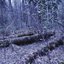 Перелог 2