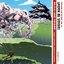 Feelings for Detroit Vol. 8: Under Mi Sensei