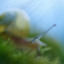 Avatar för karliopeh