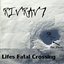 Lifes Fatal Crossing