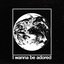I Wanna Be Adored
