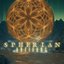 Artifact