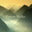 First Light - Single