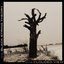 This Clouded View (single)