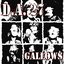 Gallows