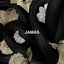 Jamás - Single