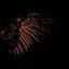 Incandescent