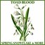 Spring Snowflake & More