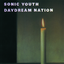 Sonic Youth - Daydream Nation album artwork