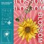 Blossom