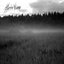 voice of forest