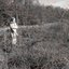 Soundscapes of spring